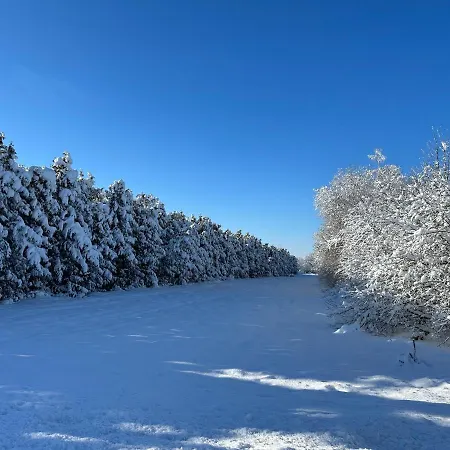 Daire My Allgaeuhome Leutkirch im Allgäu