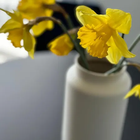 Daire My Allgaeuhome *