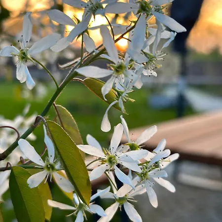 My Allgaeuhome Daire