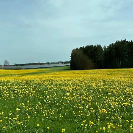 Daire My Allgaeuhome *